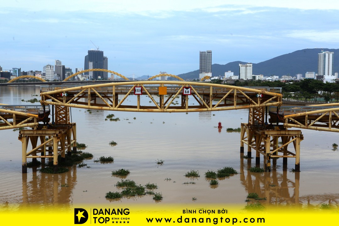Cầu Đà Nẵng - Cầu Nguyễn Văn Trỗi