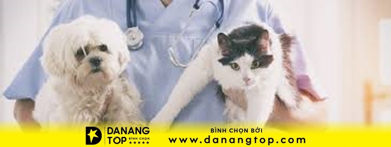 Đà Nẵng Veterinary Clinic Bs Đặng Văn Hùng -Phòng Khám Thú Y Uy Tín Ở Đà Nẵng